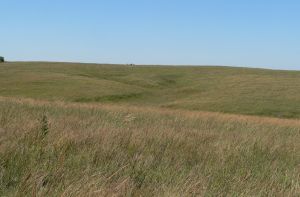 Photo of the Willa Cather Memorial Prairie near Red Cloud, Ne.
