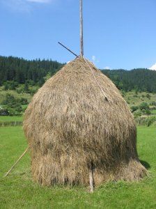 "Romanian hay" by Paulnasca - Transferred from the English Wikipedia. Original file is/was here. (Original upload log available below.). Licensed under CC BY 2.0 via Wikimedia Commons - https://commons.wikimedia.org/wiki/File:Romanian_hay.jpg#mediaviewer/File:Romanian_hay.jpg